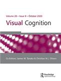 Visual Cognition《视觉认知》