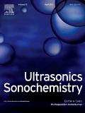 ULTRASONICS SONOCHEMISTRY《超声声化学》