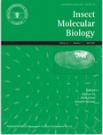 INSECT MOLECULAR BIOLOGY《昆虫分子生物学》
