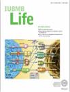 IUBMB LIFE《国际生物化学与分子生物学联盟：生命》