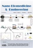 纳米生物医学工程（英文）（Nano Biomedicine & Engineering 或 Nano Biomedicine and Engineering）