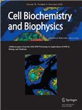 Cell Biochemistry and Biophysics《细胞生物化学与生物物理学》
