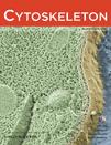 Cytoskeleton《细胞骨架》