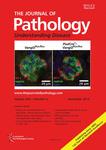 The Journal of Pathology《病理学杂志》