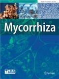 Mycorrhiza《菌根》