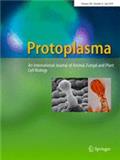Protoplasma《原生质》
