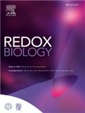 Redox Biology《氧化还原生物学》