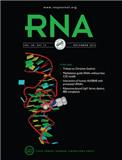 RNA《核糖核酸》