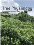 Tree Physiology《树木生理学》