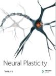 Neural Plasticity《神经可塑性》