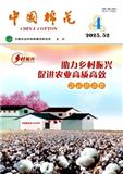 中国棉花