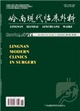 岭南现代临床外科