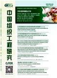 中国组织工程研究（原:中国组织工程研究与临床康复;中国临床康复  现代康复）