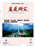 发展研究（不收版面费审稿费）