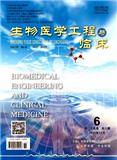 生物医学工程与临床