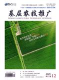 基层农技推广（电子刊）
