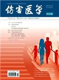伤害医学（电子版）（不收版面费审稿费）