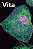 Vita（国际刊号）（OA期刊）（不收版面费审稿费）