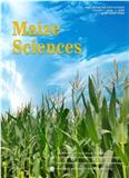 玉米科学（英文）（Maize Sciences）（国际刊号）（OA期刊）（创刊前三年不收版面费审稿费）