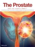 The Prostate《前列腺》