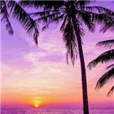 辟耶里干饭居士