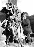 籍籍无名散修张铁