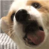 千变万化