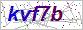 验证码